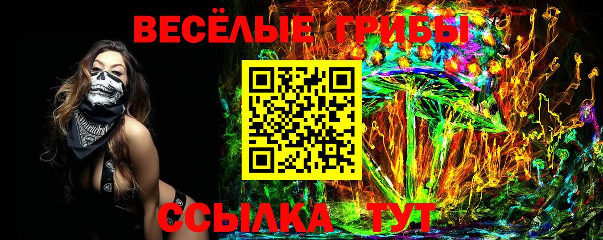 Псилоцибиновые грибы Cubensis Конаково