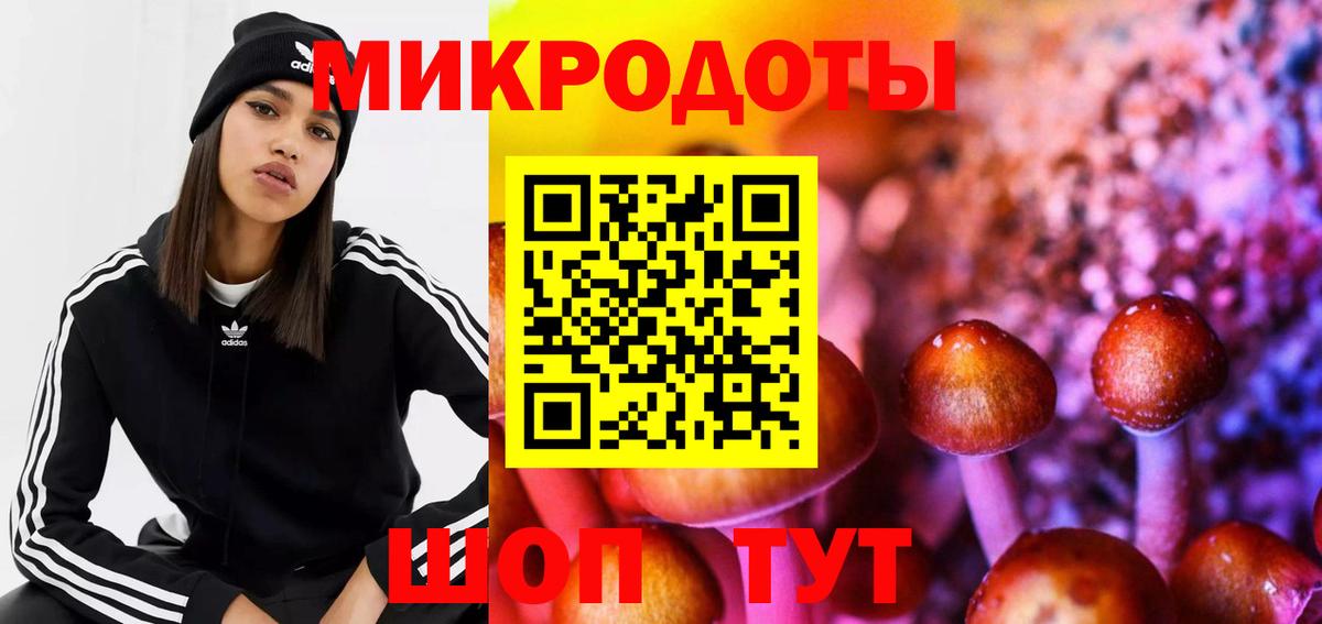 Галлюциногенные грибы GOLDEN TEACHER  Вход с VPN  Конаково 